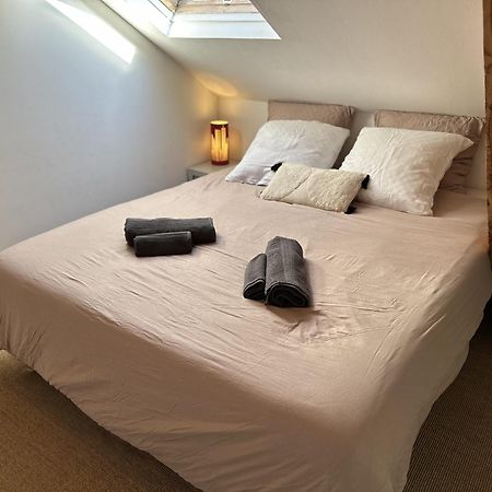 Duplex Loft - Central & Home Cinema 阿讷西 外观 照片