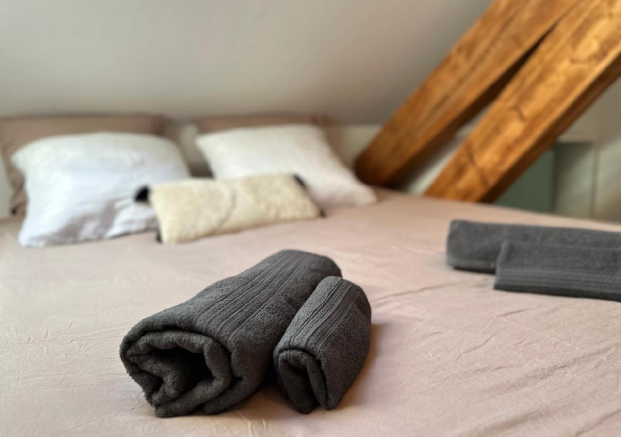 Duplex Loft - Central & Home Cinema 阿讷西 外观 照片