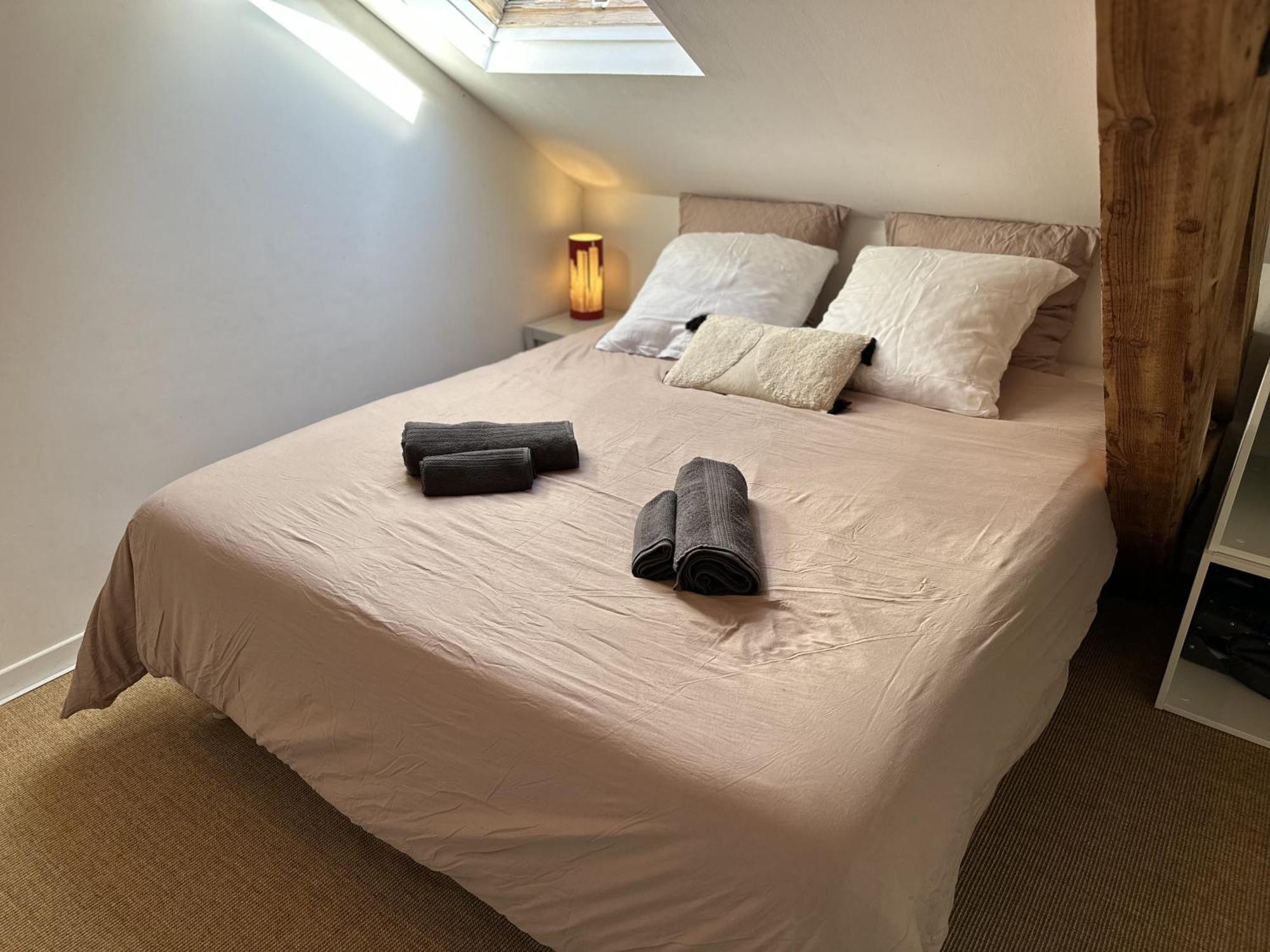 Duplex Loft - Central & Home Cinema 阿讷西 外观 照片