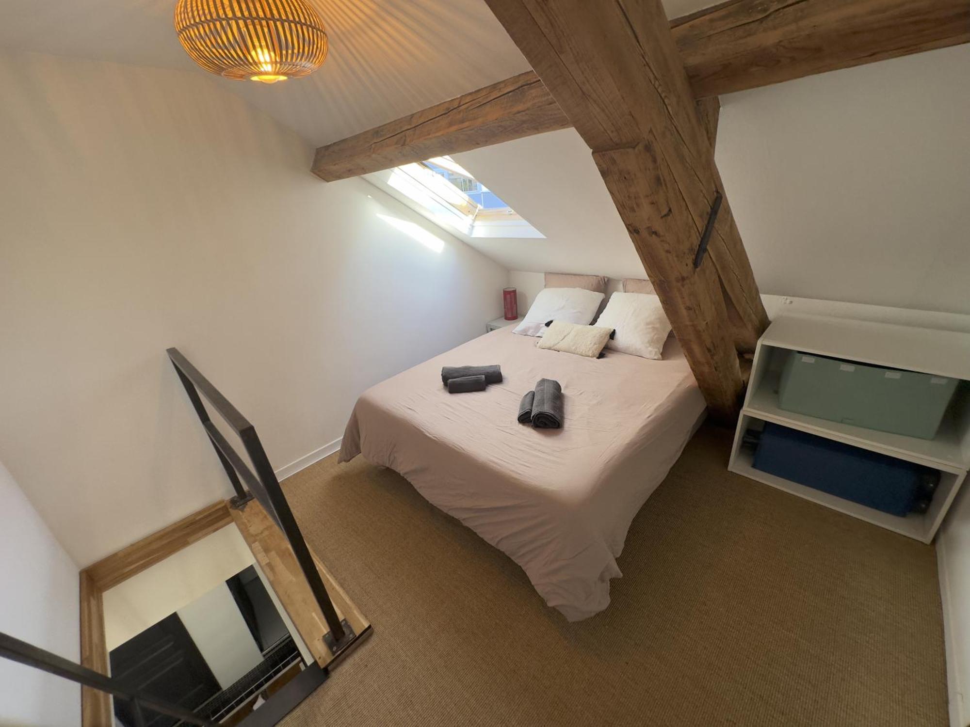 Duplex Loft - Central & Home Cinema 阿讷西 外观 照片